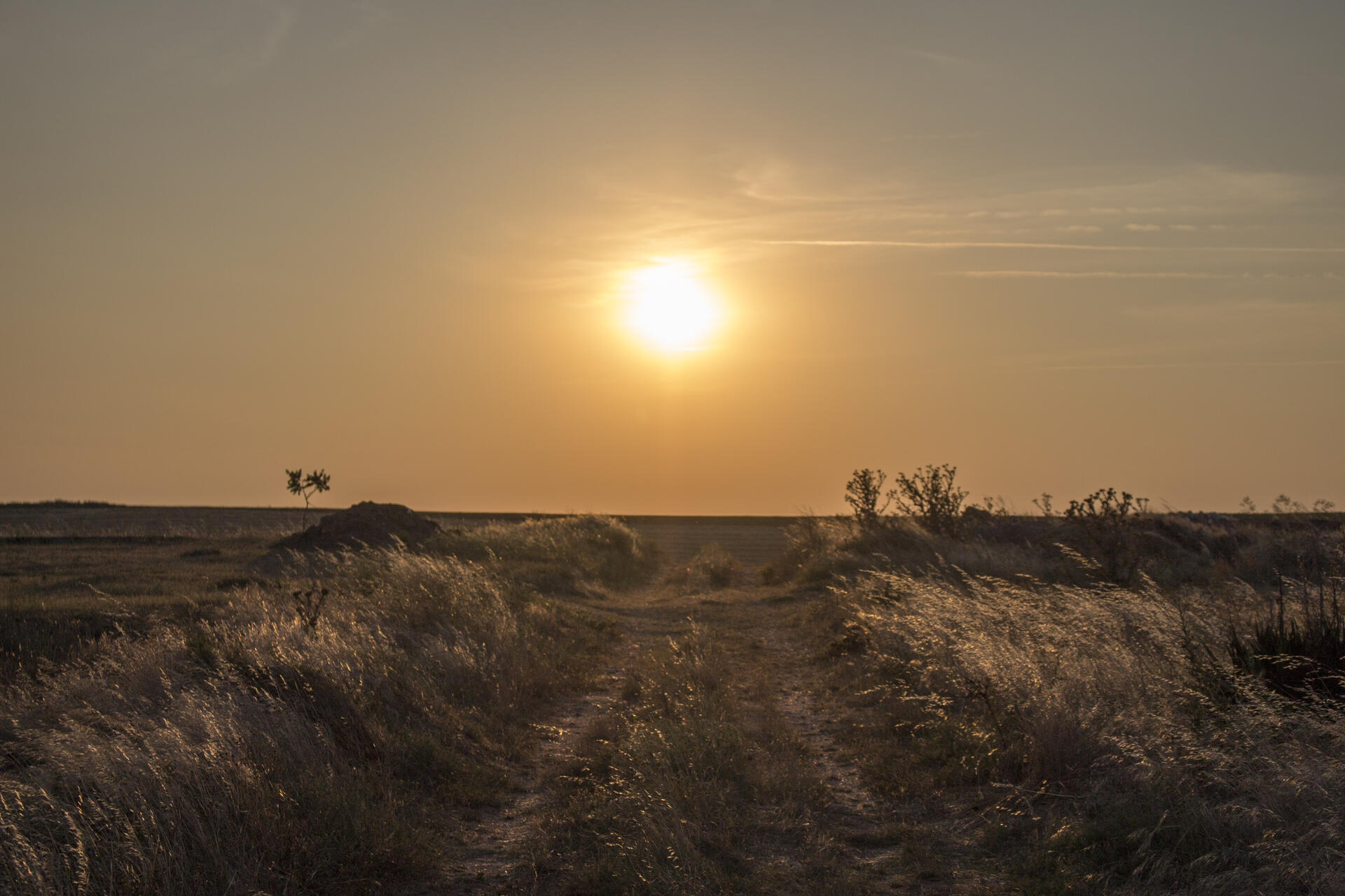 Camino hacia el sol